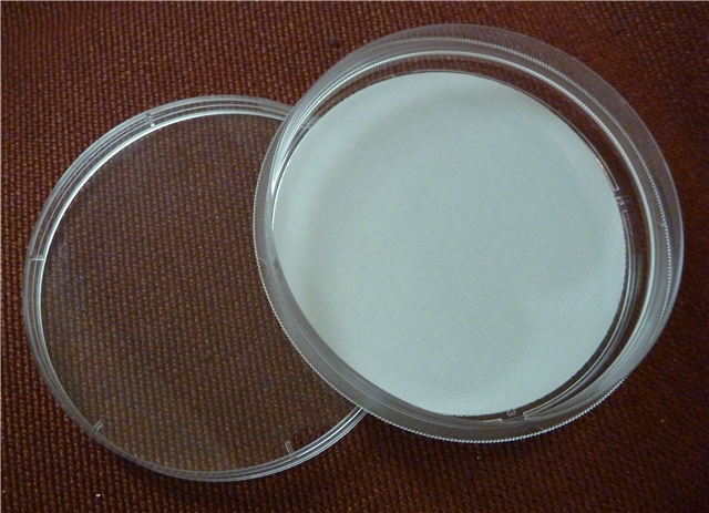 100 mm Dish Compatible, FD: 150µ, SP: 200µ - 1 Count/Pack
