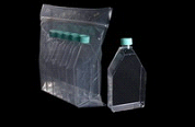 25 cm2 Tissue Culture Flasks, Surface-treated w/Plug seal cap - Click Image to Close